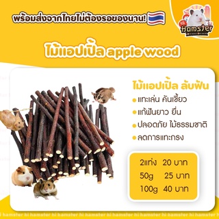 [HiHamster]ไม้แอปเปิ้ล ไผ่หวานที่ลับฟัน ลับฟันสำหรับสัตว์เลี้ยง แฮมสเตอร์🍎