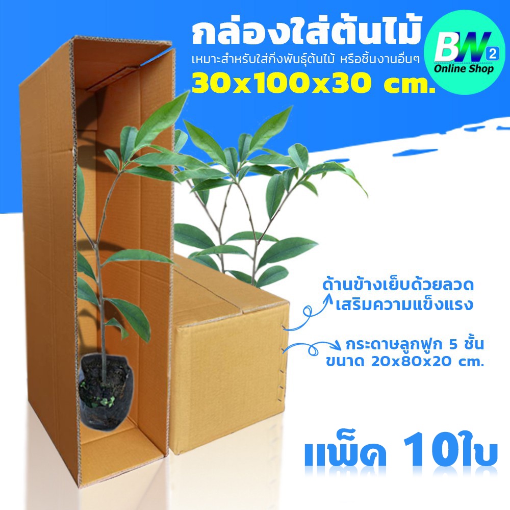 กล่องลูกฟูก 5 ชั้น 30.00x100.00x30.00cm (กล่องใส่ต้นไม้) (แพ็ค 10)