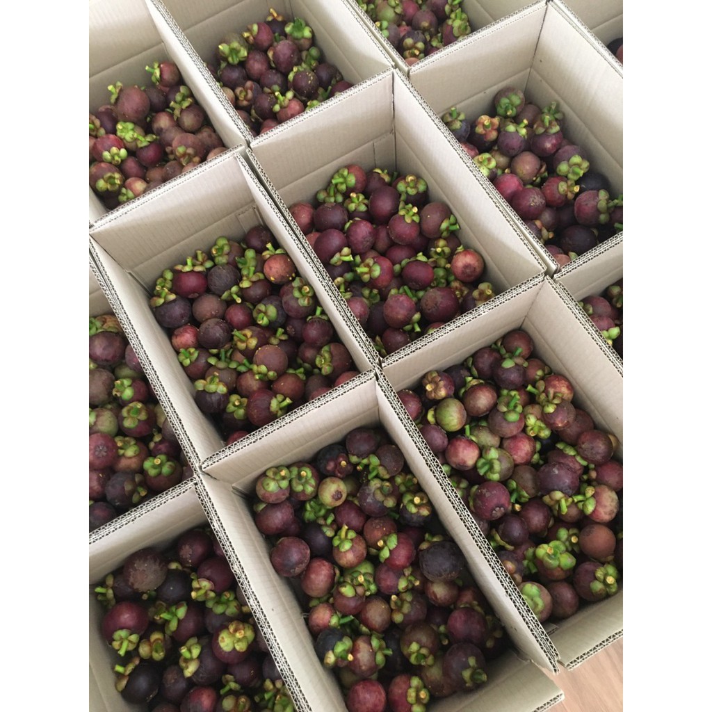 มังคุดคัดแล้วคละไซส์ ราคารวมส่งแล้ว มังคุดคัดเกรด สวนระยองรับประกัน (2KG-5KG)