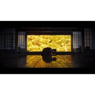 PlayStation™ PS5 Ghost Of Tsushima Director'S Cut (By ClaSsIC GaME)