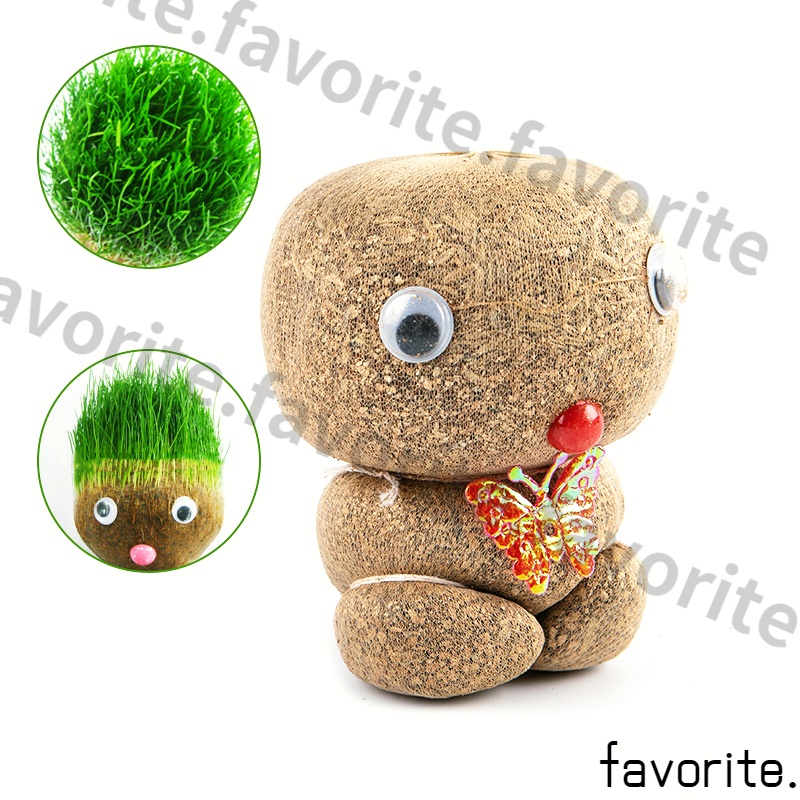 รูปภาพ 4