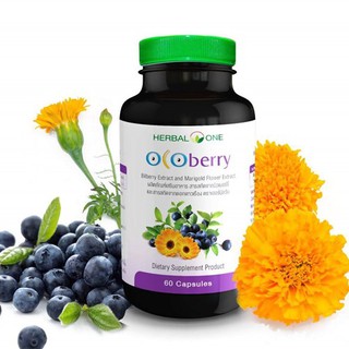 บำรุงสายตา Herbal One Ocoberry เฮอร์บัล วัน โอโคเบอร์รี่ (อ้วยอันโอสถ) 60 เม็ด