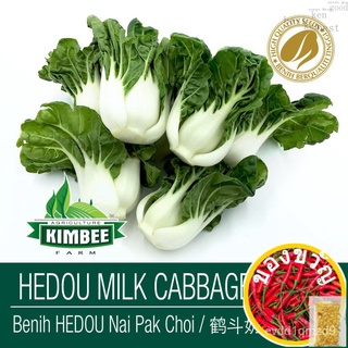 100ชิ้น hedou Nai bok Choy เมล็ด, hedou นม, แคระ Nai bok Choy, เมล็ดผลผลิตสูง/Biji benih hedou Nai PAK Choi เมล็ด  seeds