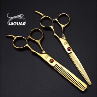 ถูก/แท้ Jaguar 1คู่ กรรไกรตัดผมจากัวร์  ขนาด 6 นิ้ว (สีทอง)