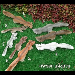 กระรอกแต่งสวน น่าร้ากมว๊ากกก