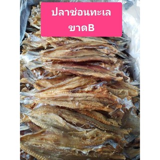 ปลาช่อนทะเล  (เกรดปลาท้องขาด)