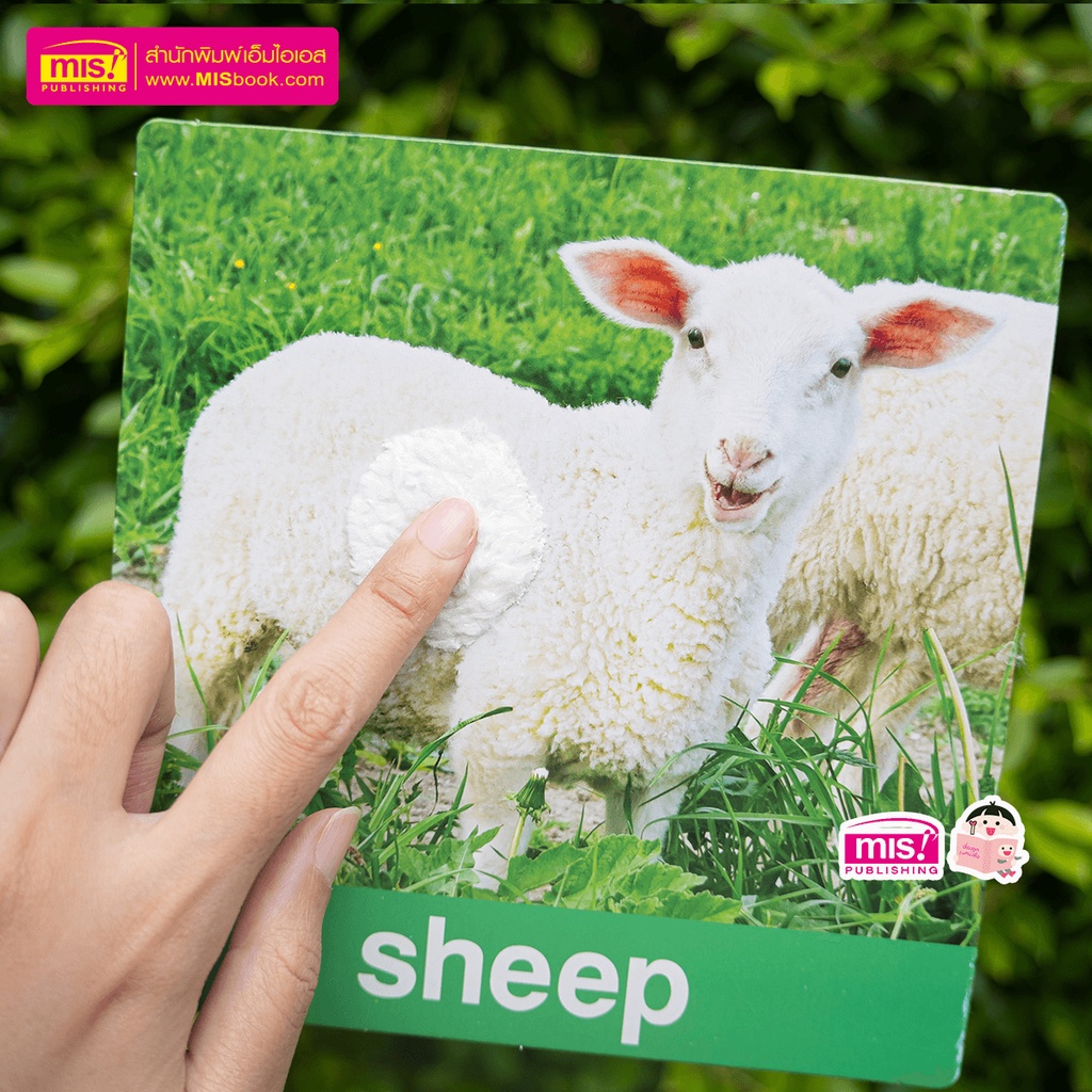 แฟลชการ์ดสัตว์น่ารัก Animal **ขนฟู** กระดาษแข็ง 14 แผ่น ขนฟู นุ่มนิ่ม