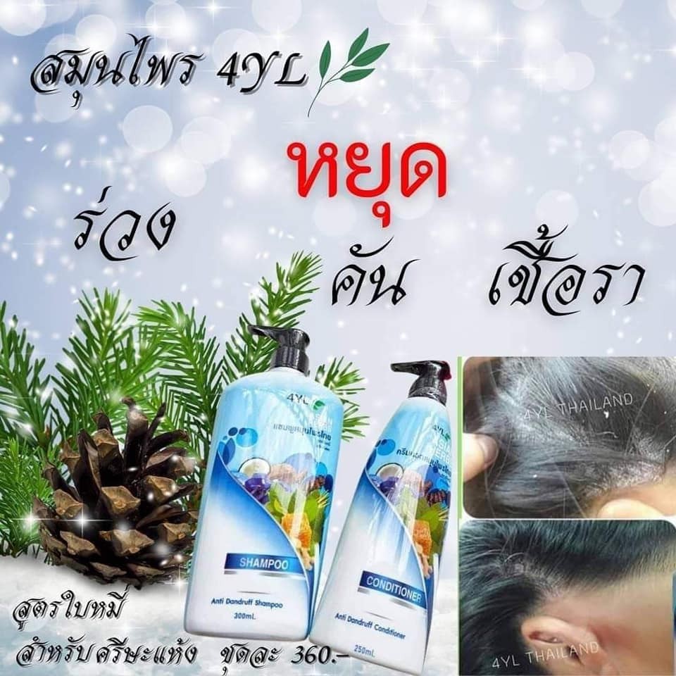 แชมพูสมุนไพร ครีมนวดผม 4YL