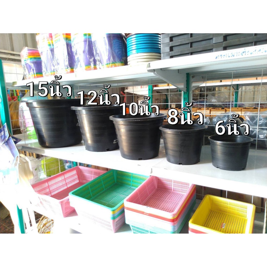 My Image 10