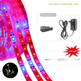 GBKOF พืช Grow Lights 2m 3m 5m กันน้ำเต็มสเปกตรัม LED Strip Light ดอกไม้ Phyto โคมไฟสีแดงสีน้ำเงินสำหรับเรือนกระจก Hydroponic พร้อมสายสวิทช์