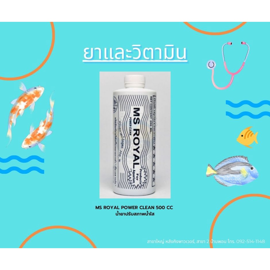 MS ROyal Power Clean 500 CCน้ำยาปรับน้ำใส 500 CC - konrukplaphuket ...