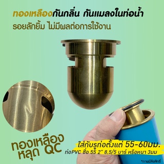 หลุด QC ทองเหลือง ขนาดใหญ่ ดับกลิ่น กันแมลงในท่อระบายน้ำ ไม่ต้องรื้อถอน