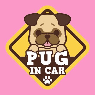 สติ๊กเกอร์ติดรถยนต์ BOC5 สั่งทำ สติ๊กเกอร์ ติดรถ " PUG IN CAR " สติ๊กเกอร์ติดรถ แต่งรถ