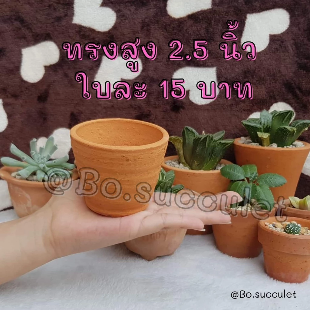 กระถางดินเผา ทรงสูง 2.5 นิ้ว ไม้อวบน้ำแคคตัส ปลูกฮาโวเทีย ใส่ต้นไม้จิ๋วเล็ก เครื่องปั้นดินเผา ของแต่งบ้าน จัดสวน
