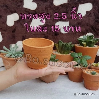 กระถางดินเผา ทรงสูง 2.5 นิ้ว ไม้อวบน้ำแคคตัส ปลูกฮาโวเทีย ใส่ต้นไม้จิ๋วเล็ก เครื่องปั้นดินเผา ของแต่งบ้าน จัดสวน