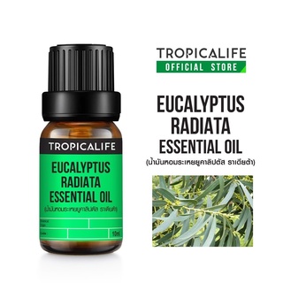 EUCALYPTUS RADIATA ESSENTIAL OIL
