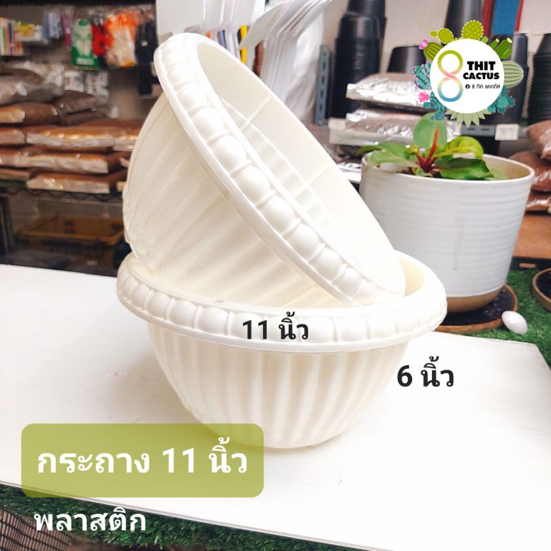 *****((ล้างสต็อก ลด50% ติดฝุ่น )) กระถาง 11 นิ้ว // ขนมเค้ก // ต้นไม้ พลาสติก เกษตร แบบใหญ่