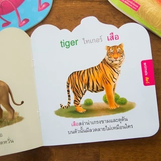 หนูน้อยเตรียมพร้อม 5 เล่ม กขค abc สัตว์ สี ตัวเลข 🎖 พื้นฐานเด็กเล็ก ฝึกอ่าน ปั้นเด็ก🎖 ก ไก่ สอนนับเลข Bookstart