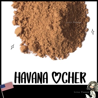 Pigment สีน้ำตาล 🇺🇸Havana ocher🇺🇸 *Non-Toxic* - สำหรับทำสีน้ำ สีน้ำมัน