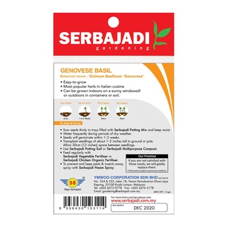 HERB SEEDS/ BIJI BENIH/ เมล็ด SERBAJADI  GENOVESE BASIL - HS005种子/芹菜/鲜花/儿童/头饰/上衣/向日葵/seeds/苹果/帽子/ 4FXH