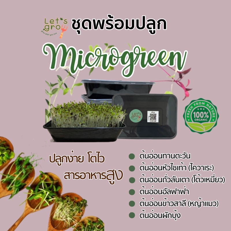 [ไมโครกรีน] ชุดพร้อมปลูก Let’s grow 📌📌ลดราคาพิเศษ🎉พร้อมโค้ดส่วนลด‼️