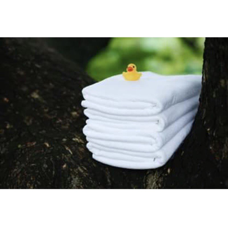 scn ผ้าเช็ดตัว27’x54’14lbs ขนคู่ขาว146บาท THYD