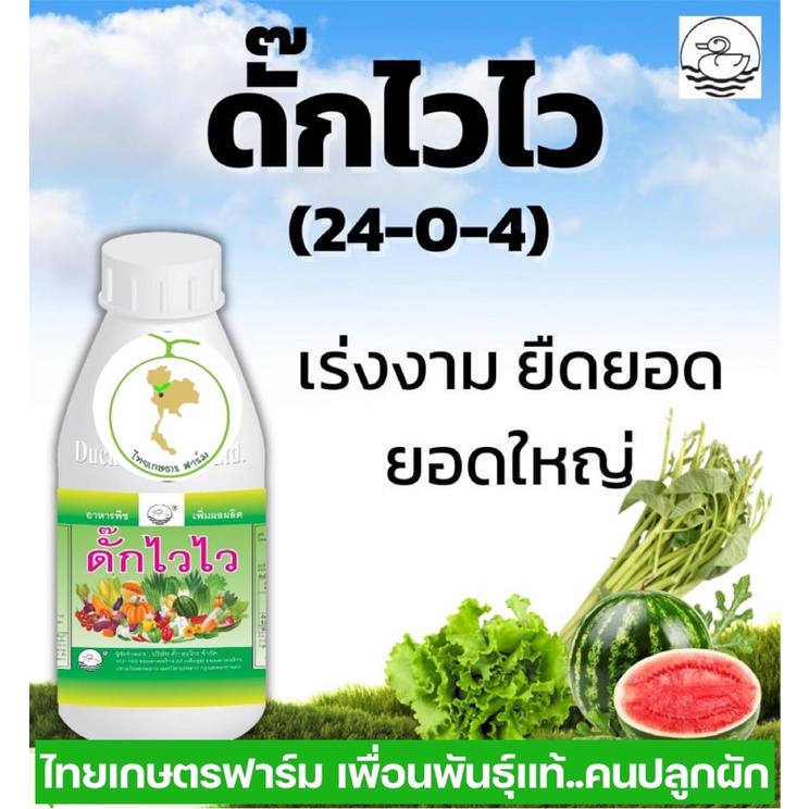 ดั๊กไวไว (ยาเย็น)เร่งยอดพุ่งโตมากเร่งยอดเร่งแขนง ขายดี