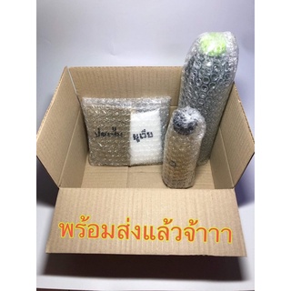 น้ำเขียว น้ำเขียวเลี้ยงไรแดง📌มีของพร้อมส่ง📌