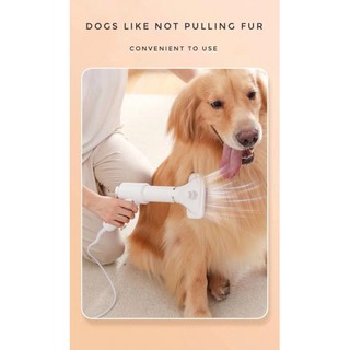 PP Pet grooming dryer 2 in 1 แปรงหวีไดร์ขนสัตว์เลี้ยง