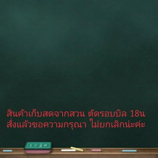 ใบตอง ขาว KT ลคใหม่ ทักสอบถามก่อนกดสั่ง ตัดรอบส่ง 18น(ราคาพิเศษ)