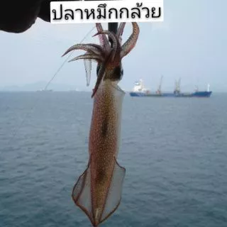 หมึกบดเชื่อม3รส เนื้อนุ่มอร่อย ทำจากหมึกกล้วยบดเนื้อละเอียดเกรดA