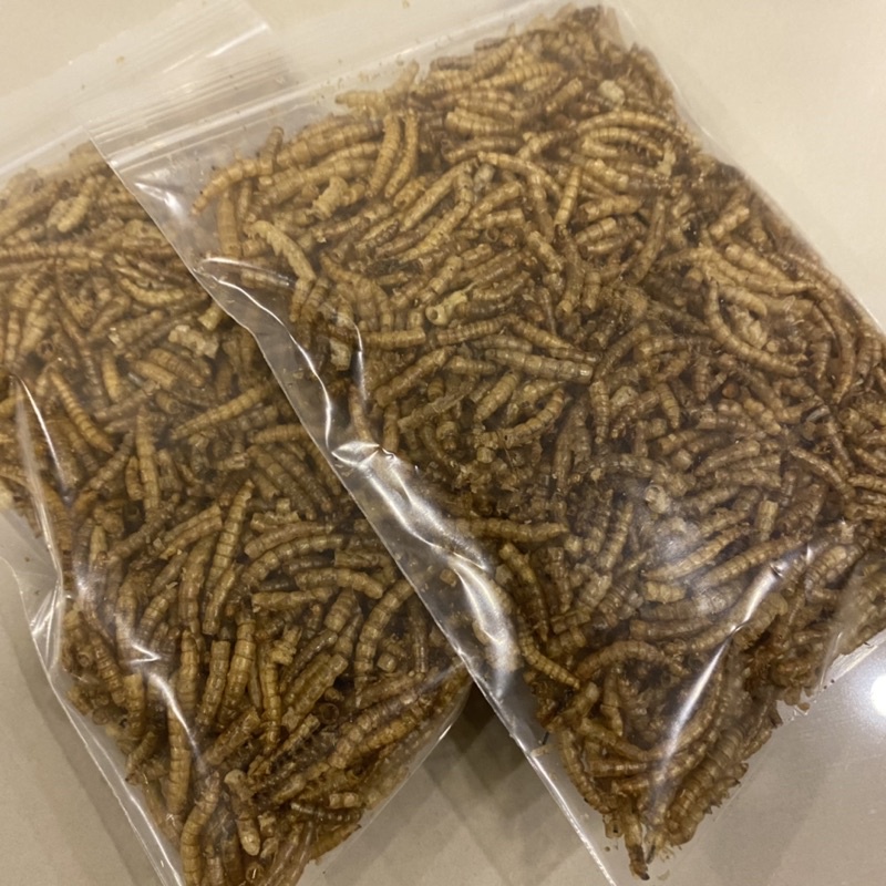 หนอนนกอบแห้ง (100g) หนอนนก Dried Mealworms เหมาะสำหรับชูการ์ไกลเดอร์, กระรอก, เม่น, แพรีด็อก แฮมเตอร์ และสัตว์เลื้อยคลาน