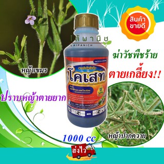 กำจัดหญ้าคาแทนกรัมม็อคโซน ชื่อโคเสทขนาด 1000cc.(glufosinate-ammonium)หญ้านกสีชมพู หญ้าตีนกา หญ้าตีนติด ไมยราบเลื้อย