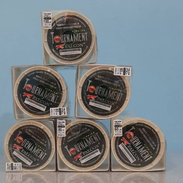 สายเกมใหญ่ Tournament 250gr