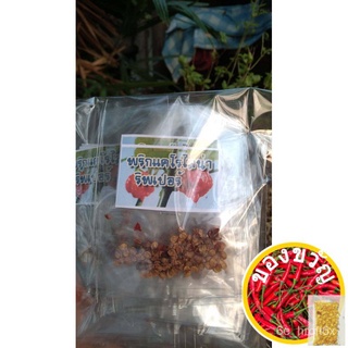 เมล็ดอวบอ้วนเมล็ดพันธุ์ พริกแคโรไลนา รีพเปอร์ (Carolina Reaper)  อันดับ1พริกเผ็ดที่สุดในโลก   ราคา ซองละ 59 บาทเมล็ดพันธ