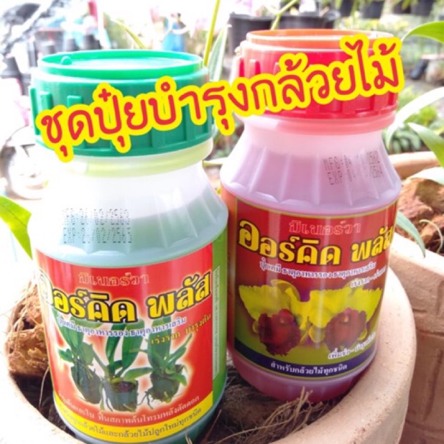 ปุ๋ยบำรุงกล้วยไม้ แพ็คคู่(เขียว+แดง) สวนใช้เองเห็นผลดี