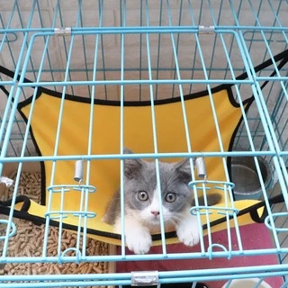 😺Hipetime offical shop😺เปลที่นอน แบบแขวน สําหรับสัตว์เลี้ยง แมว