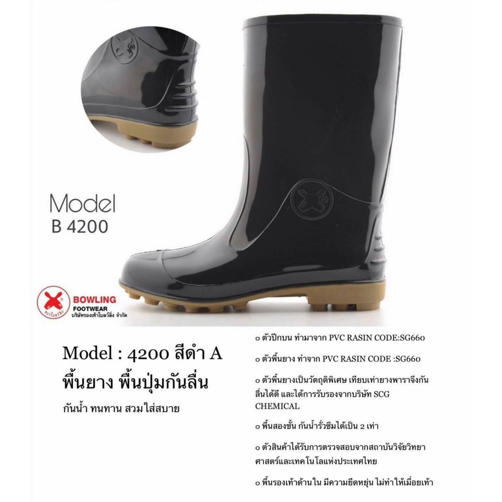 รูปภาพ 8