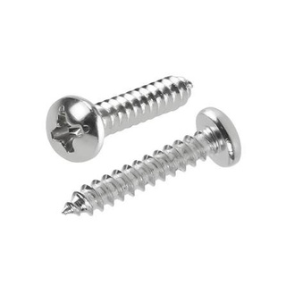 อุปกรณ์ยึดติด สกรูเกลียวปล่อย TP 6X3/4 นิ้ว 25 ตัว Screws, Nuts &amp; Washers