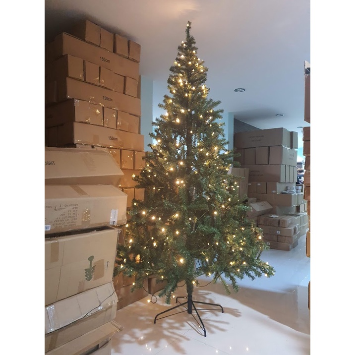 ต้นคริสต์มาส ประดับตกแต่ง พร้อมไฟตกแต่ง ขนาด 240 ซม. 8 ฟุต Christmas tree with Decorate light 240 cm