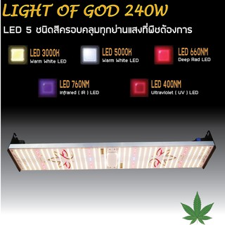 โคมไฟปลูกต้นไม้ 240W LIGHT OF GOD เสริมด้วย LED IR และ UV สำหรับพืชสมุนไพร กัญชง และ กัญชา พืชที่ต้องการแสงมาก