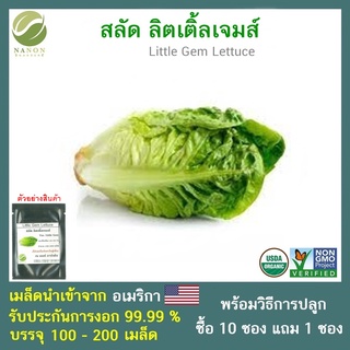 เมล็ดสลัด ลิตเติ้ลเจมส์ จำนวน 100-200เมล็ด