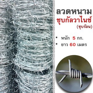 พร้อมส่งลวดหนาม ลวดหนามกันสนิม ชุบกัลวาไนซ์（ชุบร้อน）เบอร์14 5kg ยาว 60m หนา2mm gNNp