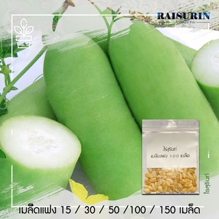เมล็ดแฟง ฟักเขียว เมล็ดพันธุ์ผัก ไร้สารเคมี