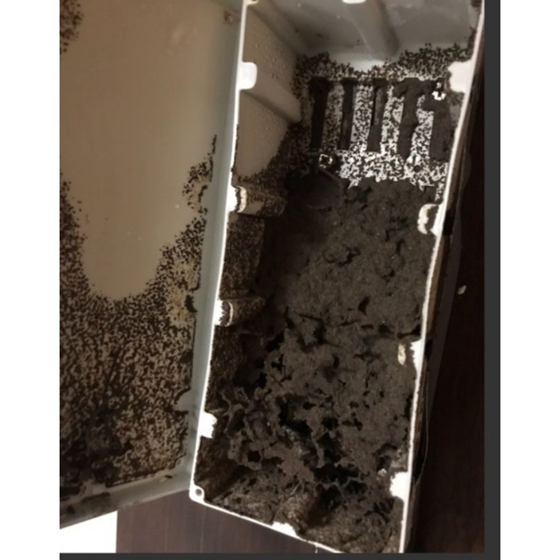 Termite Bio Bait ชุดเหยื่อเชื้อรากำจัดปลวกตายยกรัง เหยื่อชีวภัณฑ์กำจัดปลวก - รูปที่ 7