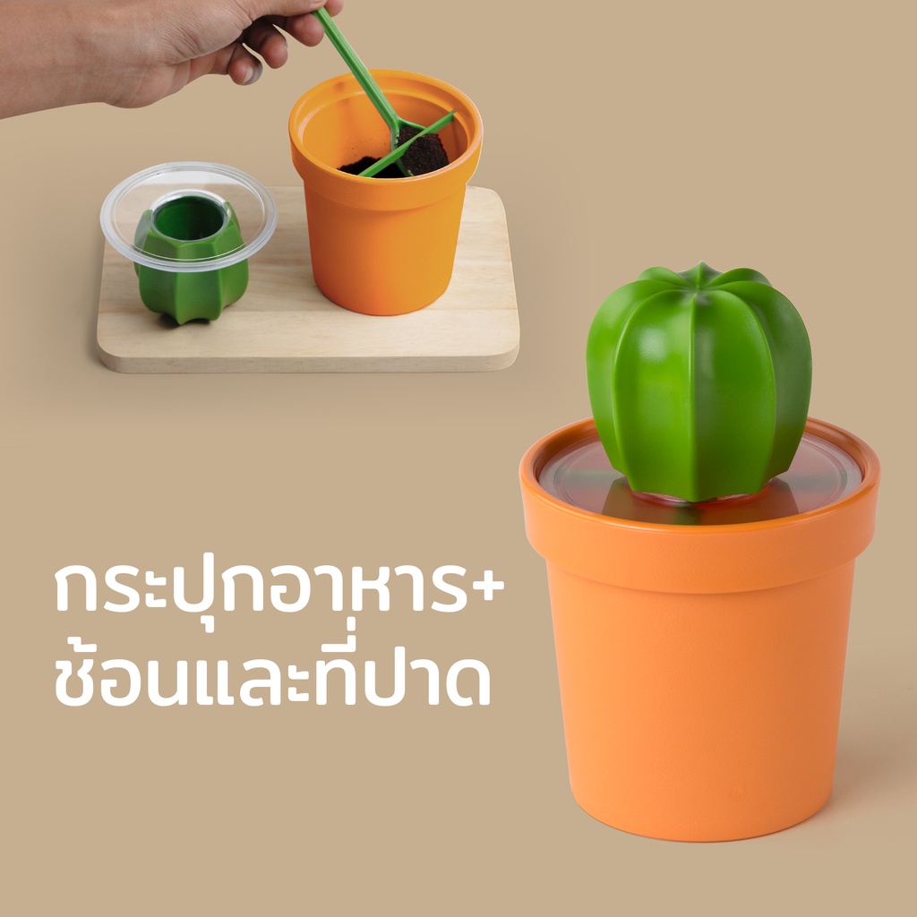Cacnister & spoon โหลอเนกประสงค์ ใส่กาแฟ ชา น้ำตาล แป้ง ดีไซน์ ต้นกระบองเพชร Qualy(ควอลี่)