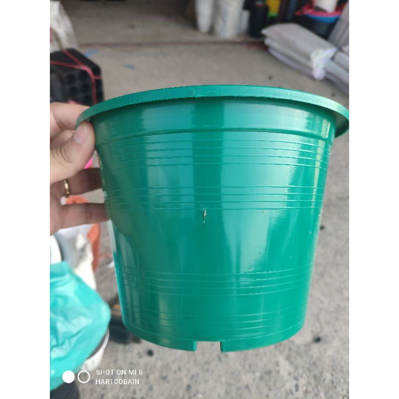 กระถางสีพาสเทล คละสี แพคละ 10 ใบ และ 5 ใบ ขนาด 6 และ 8 นิ้ว - รูปที่ 3