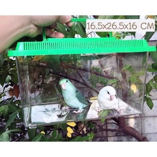 กล่องพลาสติกใสใส่สัตว์เลี้ยง 💚 เคลื่อนย้าย/พกพาขนาดเล็ก/กล่องพร้อมฝา
