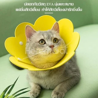 Harmcat คอลล่าดอกไม้ คอลล่ากันเลียแผล คอลล่าสัตว์เลี้ยง คอลล่า ปลอกคอกันเลียหมาแมว ปลอกคอกันเลียสุนัขและแมว