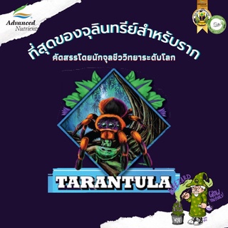 Tarantula by Advanced Nutrients จุลินทรีย์บำรุงราก #ปุ๋ยพื้นฐาน #Advanced Nutrients #420 #ปุ๋ยกัญชา #กัญชา